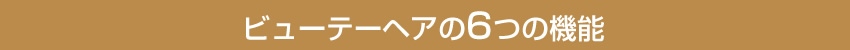 ビューティヘアの6つの機能