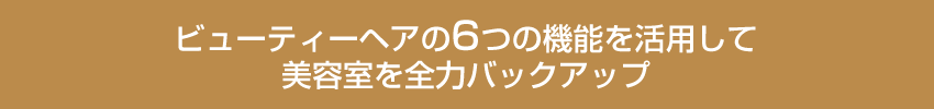 ビューティヘアの6角機能を活用して美容室を全力バックアップ