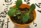責任重大