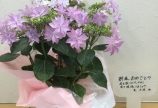友人から