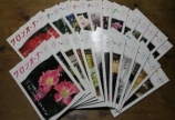 続けていたら24冊
