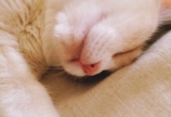 仕事初めだす!