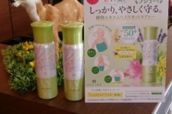 夏の大敵(`Δ´)