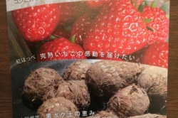 美味しい季節