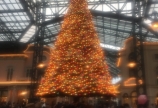 ディズニーChristmas