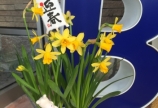 今年もよろしくお願いします!