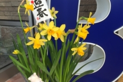 今年もよろしくお願いします!