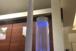 流行りモノ...