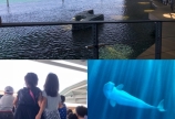 夏休み