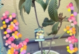 こんばんは^^
