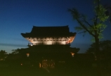 瑞泉寺の藤