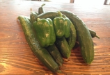 夏野菜!