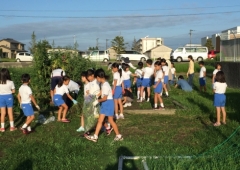 小学校の草毟り