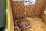 すげー( •̀ .̫ •́ )✧