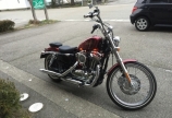 バイク日和?