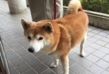 今だけ⁈