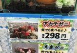 とうとうGET〜!