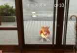 チャムにも