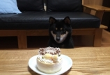 happybirthday( •̀ .̫ •́ )✧
