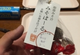 糀パークでみそぼーる作り♫