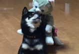 忘れとった