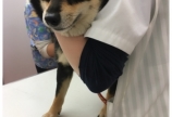 ♡あんちゃん、病院へ行くの巻♡