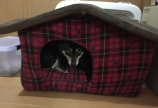 あんの部屋