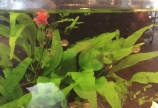 閲覧注意