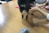 僕よりも