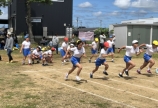 運動会🏃‍♂️