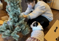 クリスマスツリー🎄
