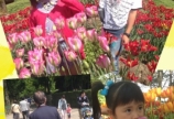 ♡チューリップフェア♡