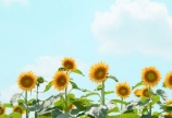 お盆休みのお知らせ☆