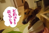 トリートメントの目的って??