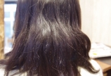 リアルなBlogの意味