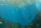 水族館★