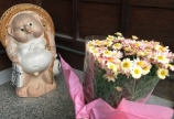 兄と母の日