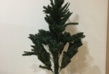 クリスマスツリー