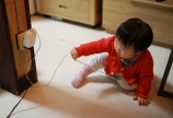 今日のほっこり