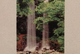「 IYASHI 」　中島 信孝  写真展　     at   volero hair&life salon