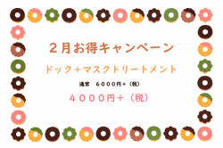 2月のお得キャンペーン!!