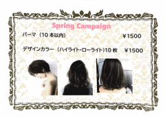 Spring campaign!!