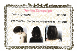 Spring campaign!!