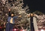 お花見♡夜桜