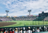高校野球⚾️100回記念日大会