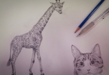 真面目に絵を描いてみました