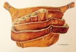 「シザーケース」を描く