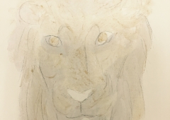 ヘアカラーで描く「ライオン」