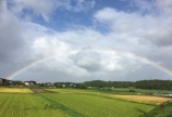 自称「虹」先生の私