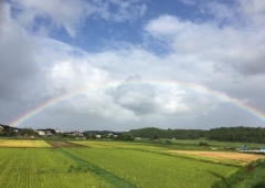 自称「虹」先生の私